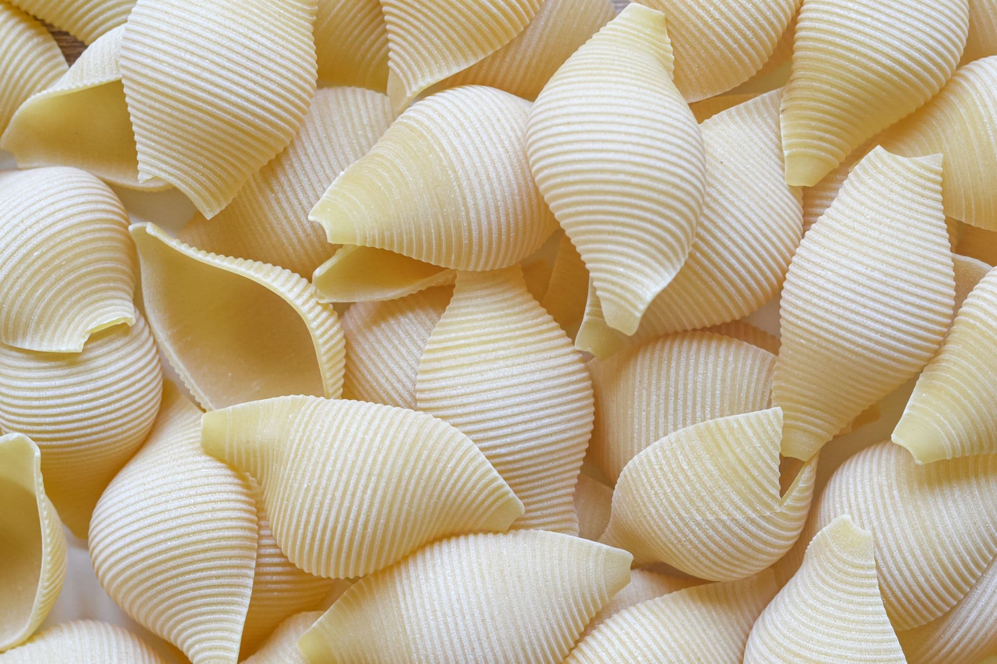 A close-up of dried conchiglie shells, each ridged with an open curled cavity