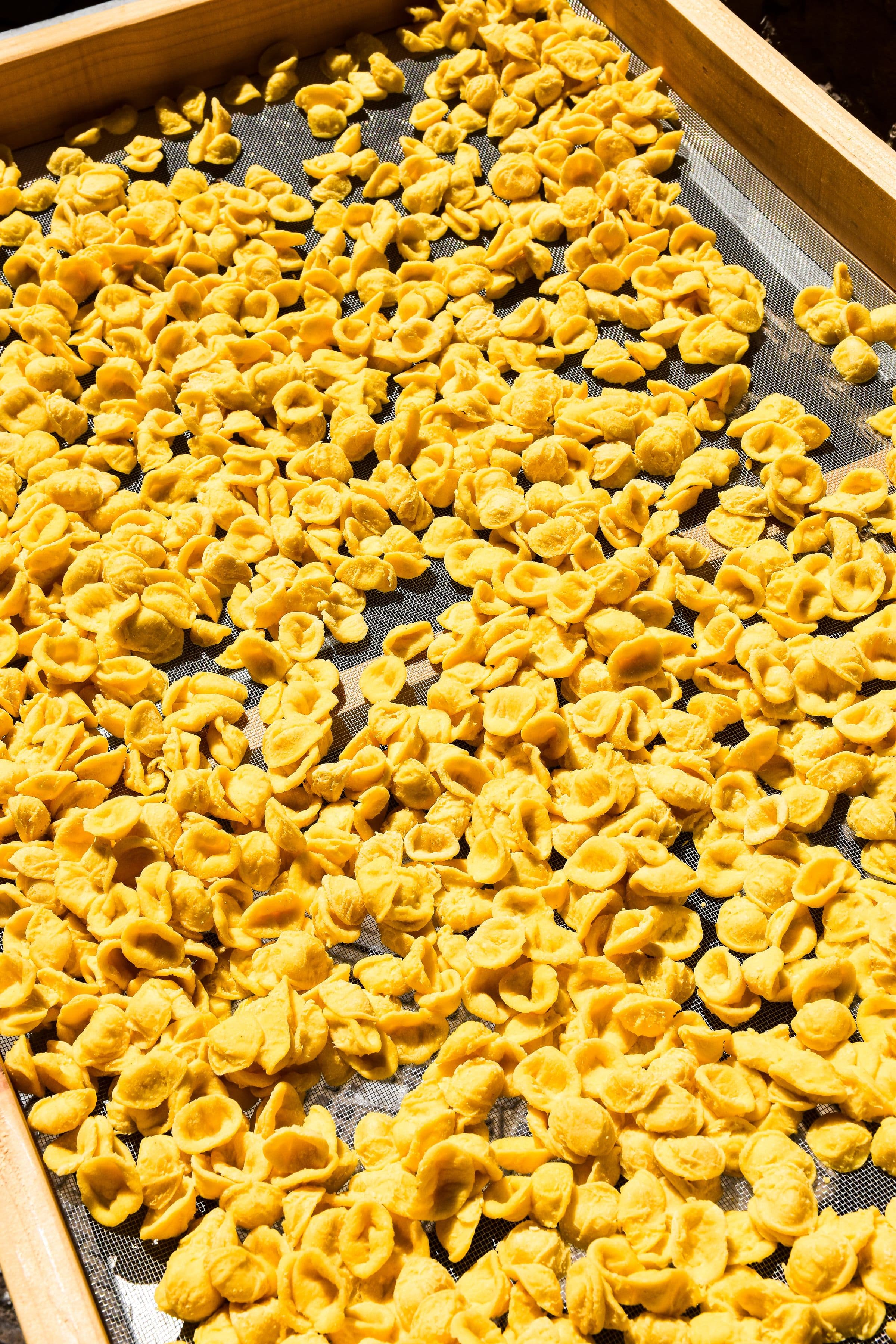 Handmade orecchiette drying in the sun on a screened tray in Puglia